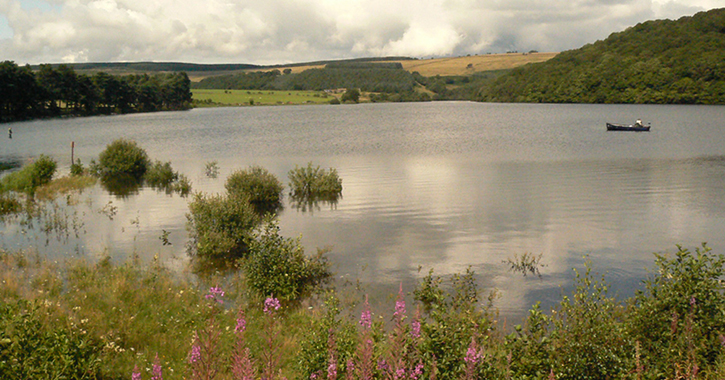 Tunstall Reservoir